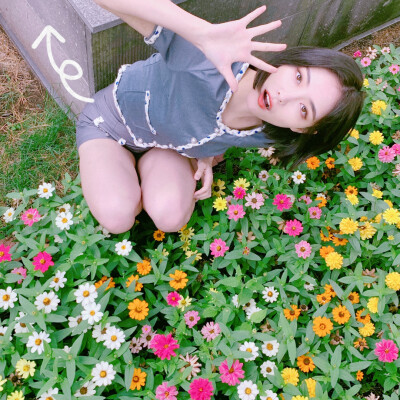 SNH/kiki许佳琪/20190822/日本拍摄mv期间明信片/“你是麻麻心里最piu亮的一朵花”