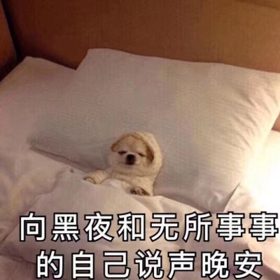 可爱