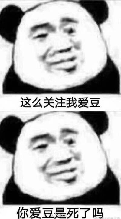 追星 表情包