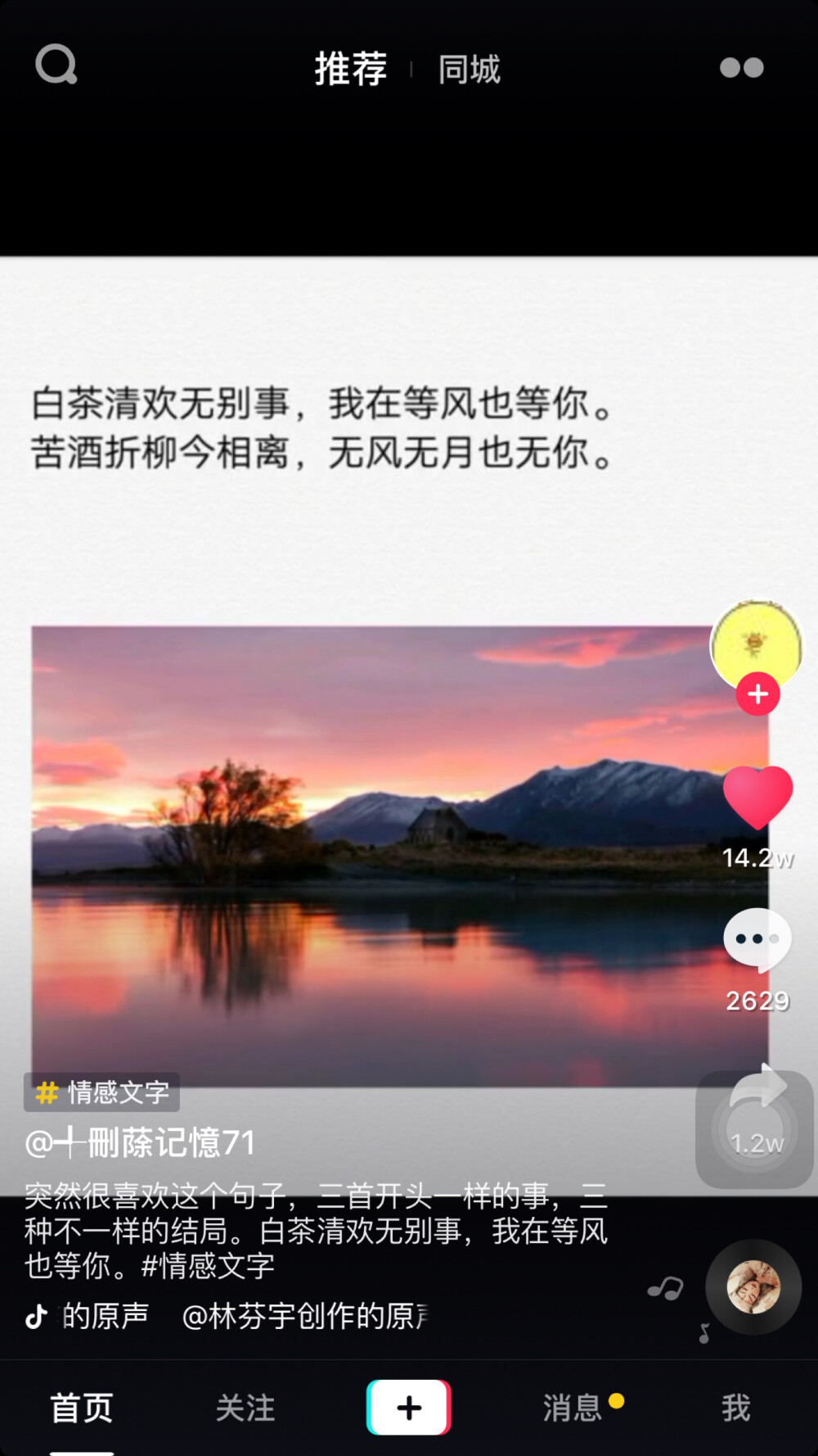 白茶清欢无别事，我在等风也等你。
苦酒折柳今相离，无风无月也无你。