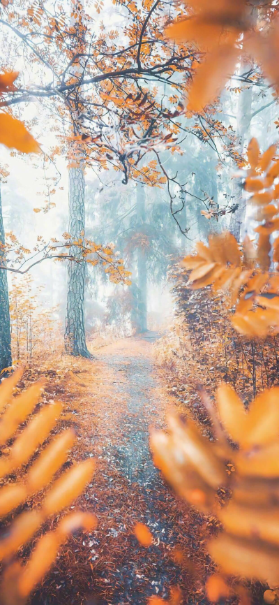 滴，你的小可爱上线啦ヾ(^▽^*)))