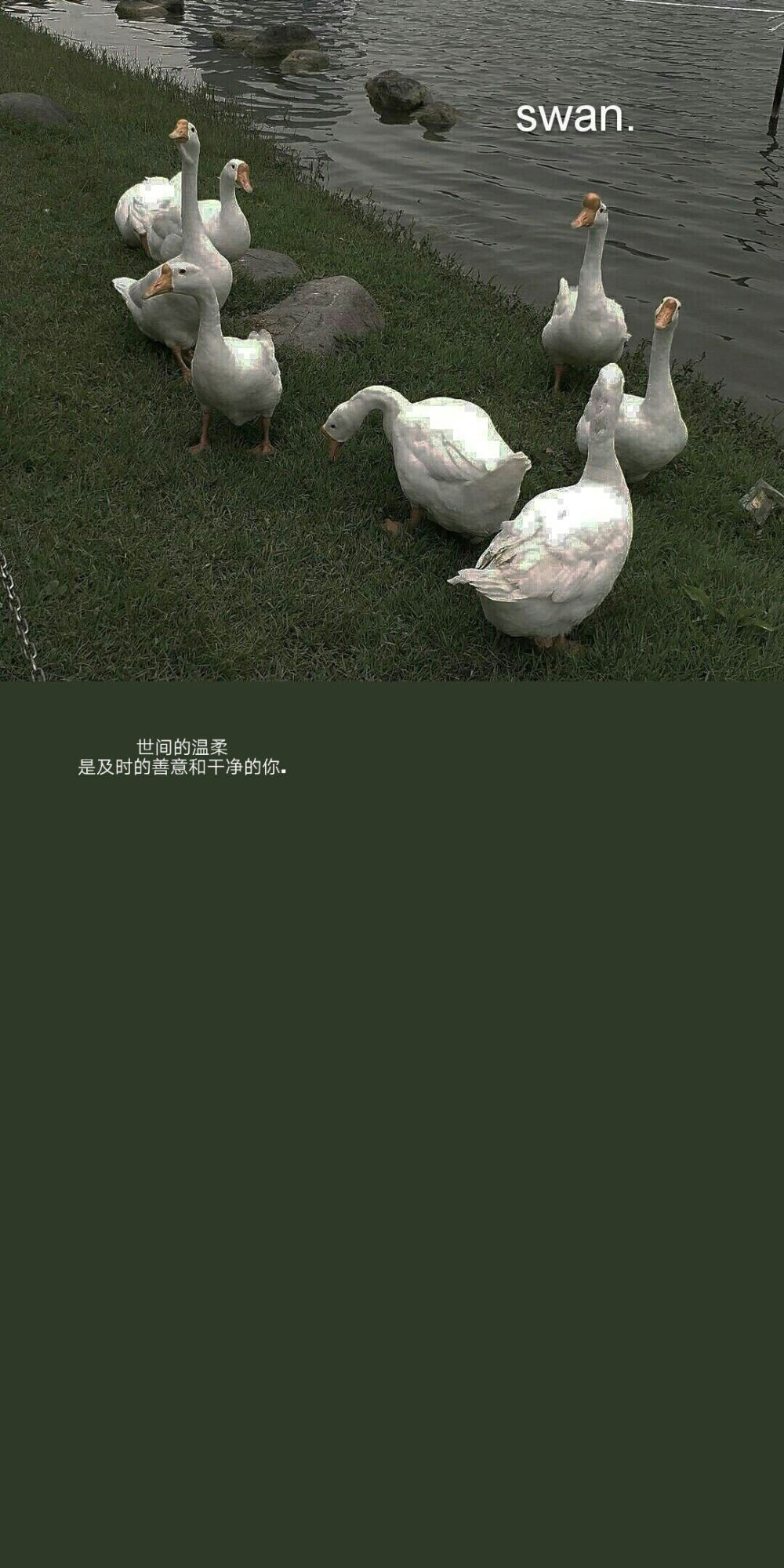 壁纸