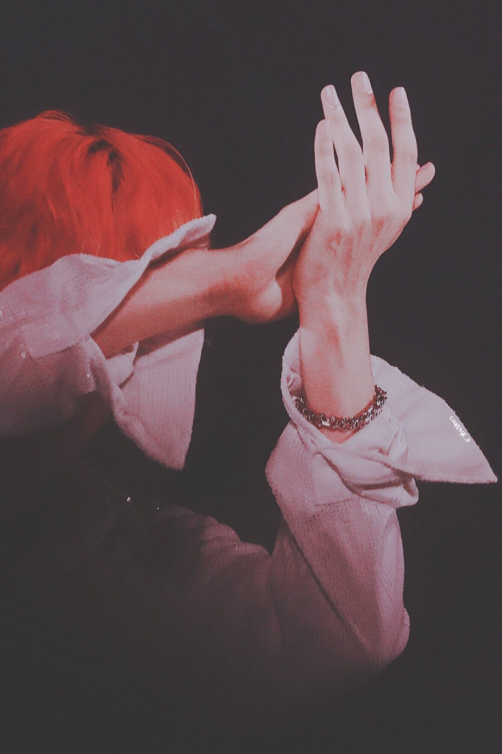 EXO 边伯贤 五巡