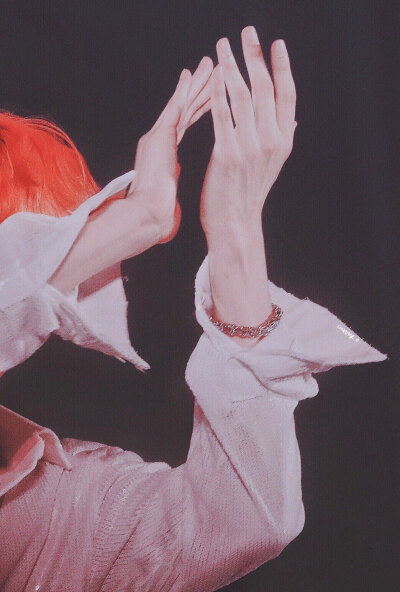 EXO 边伯贤 五巡