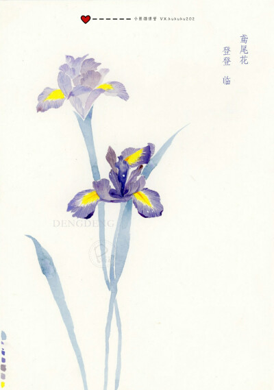 小熊猫课堂古风花卉班——登登同学水彩手绘花卉插画。