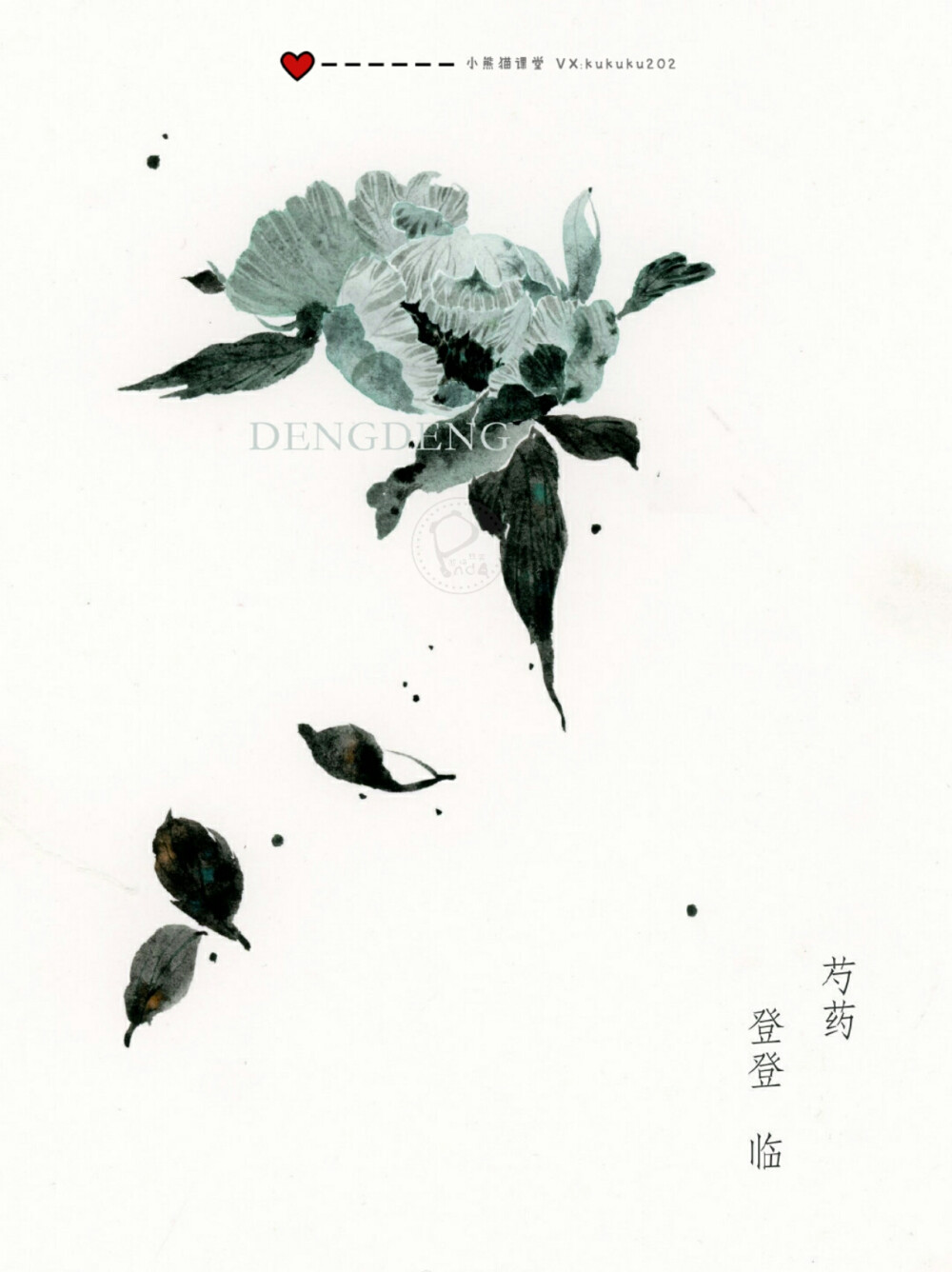 小熊猫课堂古风花卉班——登登同学水彩手绘花卉插画。