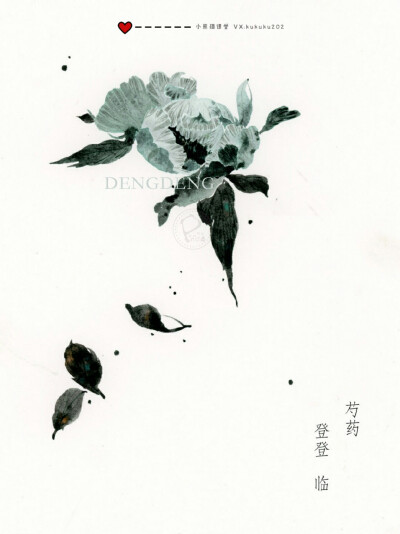 小熊猫课堂古风花卉班——登登同学水彩手绘花卉插画。