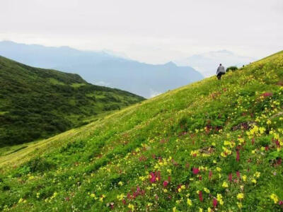 华夏绝美 四川九顶山