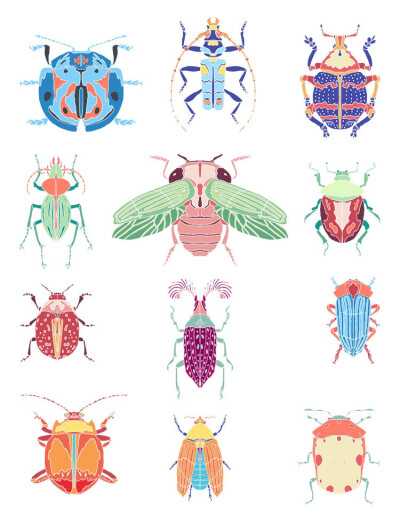 12张甲虫昆虫独角仙知了瓢虫蚱蜢动物水彩儿童风格插画png矢量素材