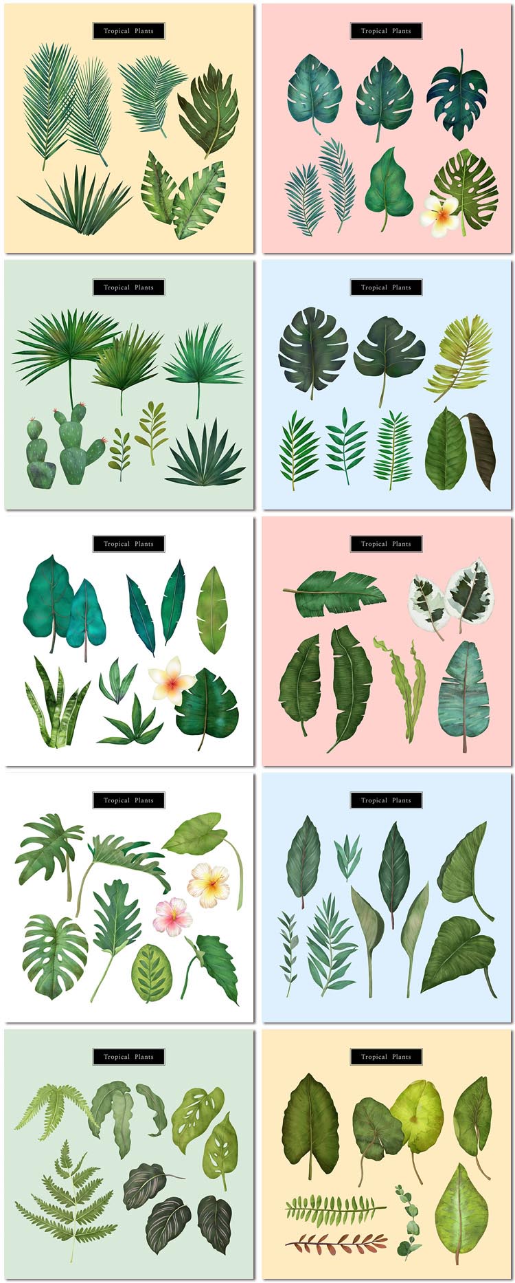 10组植被绿叶亚热带大叶绿色尖针植物树叶水彩画免抠PSD素材模板设计