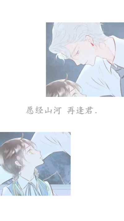 〔壁纸〕只想做一棵树，因为谁都不足以庇佑我by：稚与过往