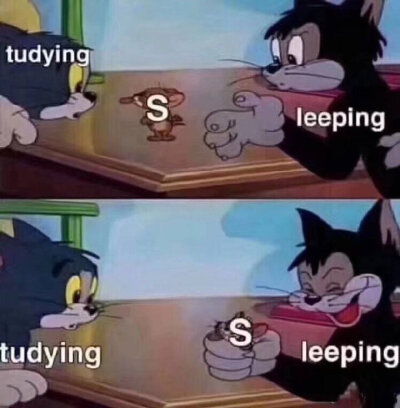 Studying & Sleeping