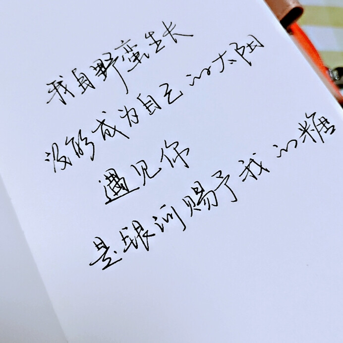 手写字