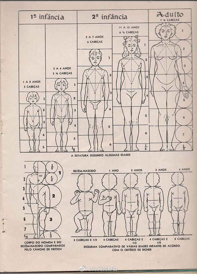 人体结构知识。