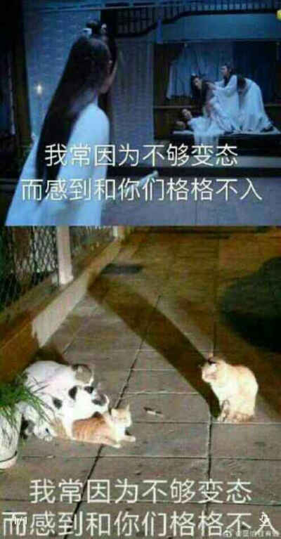 不愧是我