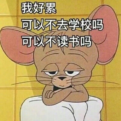 面对新学期，你慌了吗？dt樊波波