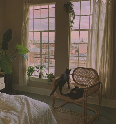 超美的窗子和窗帘
微博@instagram优选