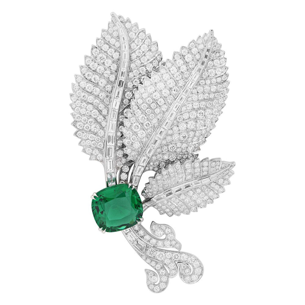 Van Cleef & Arpels 在2017年的新高级珠宝系列「Le Secret」中推出了这件胸针作品，通过巧妙的隐藏机关来呈现自然生命的共生——一只小瓢虫在棕榈叶间若隐若现，一颗鲜绿的祖母绿亦是充满生机的主石。
这件胸针共由3枚钻石镶嵌的叶片层叠构成——叶脉呈流线型轮廓，由长阶梯形钻石镶嵌；叶片则铺满小颗圆钻，边缘呈生动的锯齿造型；最醒目的是叶柄上镶嵌的一颗10.17ct赞比亚祖母绿，呈枕形切割，明亮的色调让人联想到棕榈叶天然的翠绿色。