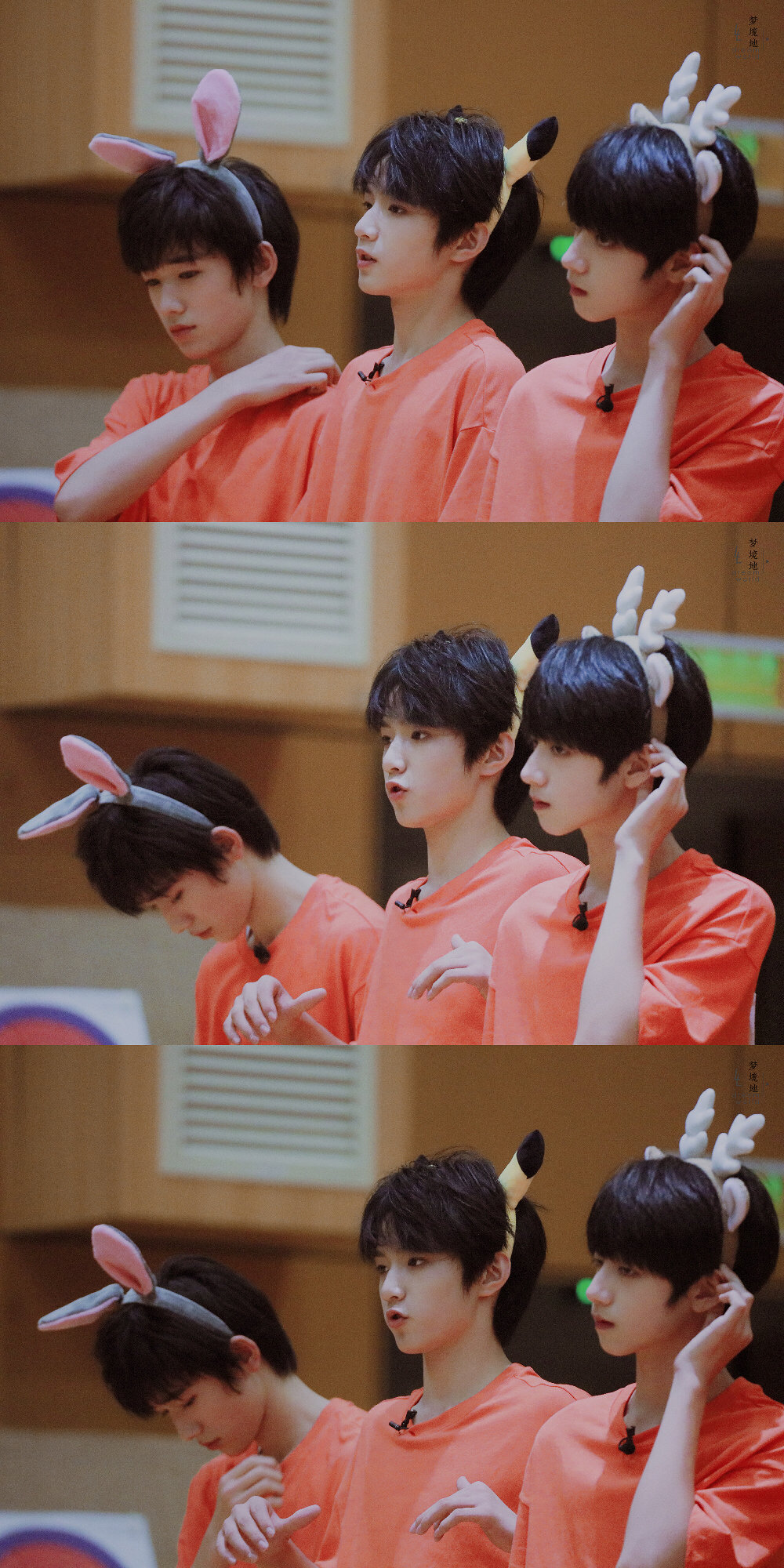 丁程鑫刘耀文苏新皓tf家族