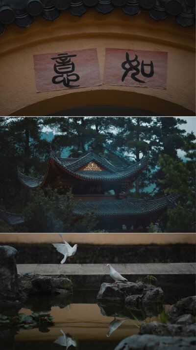 青庐 - 堆糖，美图壁纸兴趣社区