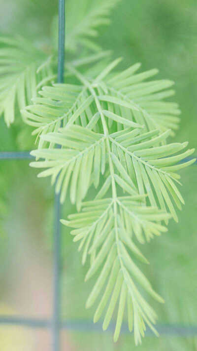 背景图诶୧((〃•̀ꇴ•〃))૭⁺✧