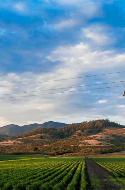 背景图诶୧((〃•̀ꇴ•〃))૭⁺✧