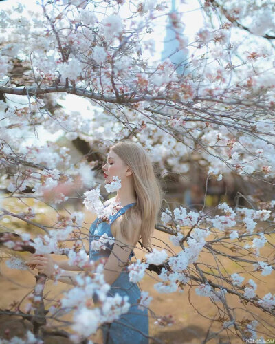 Spring in Tokyo | Xenia Lau