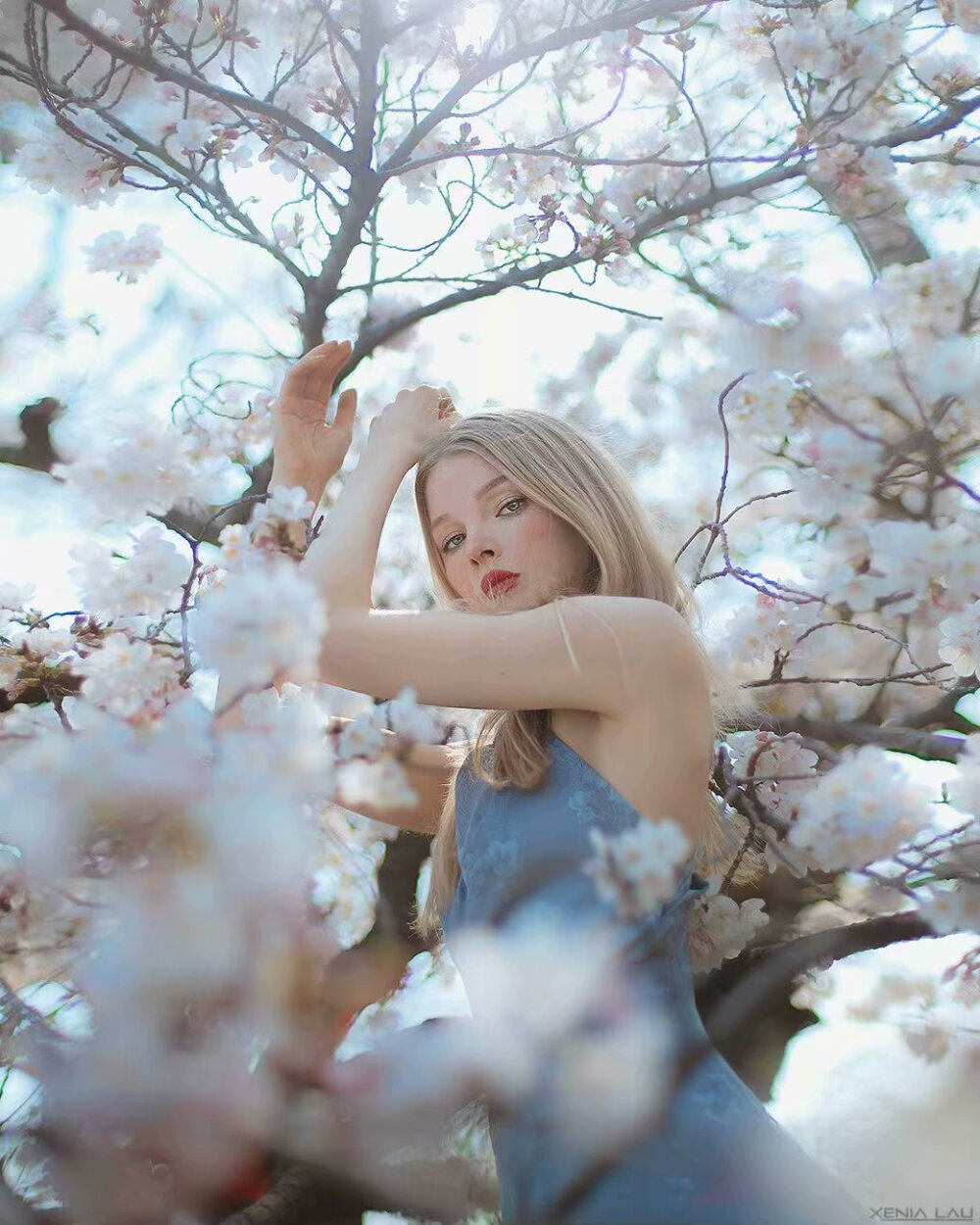 Spring in Tokyo | Xenia Lau