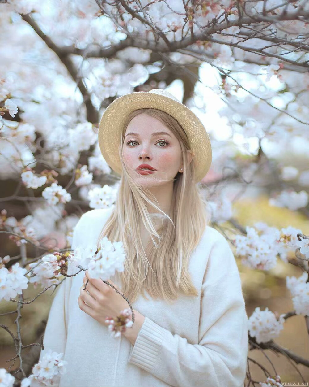 Spring in Tokyo | Xenia Lau