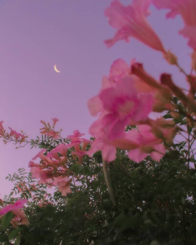 照片中的色彩与光线。