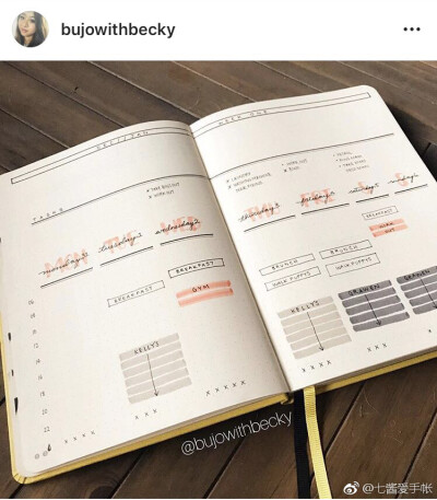 bullet journal