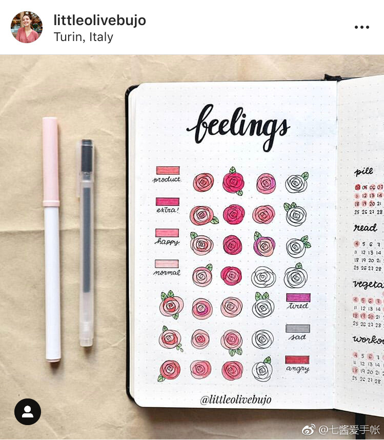 bullet journal