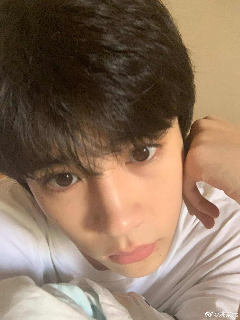 姚景元真的太！好！看！了！