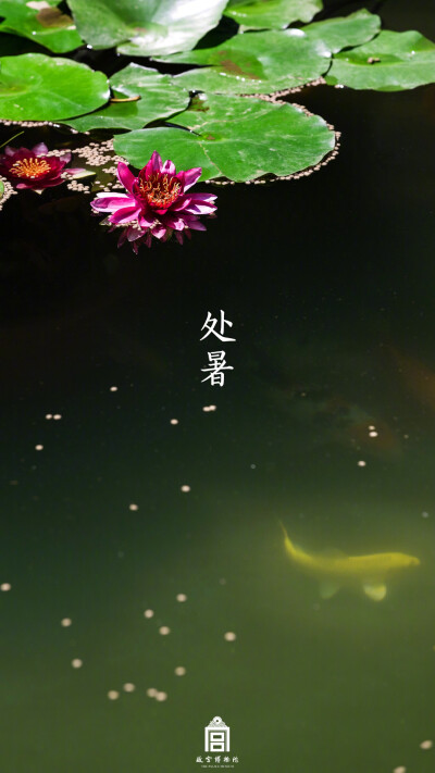 故宫 处暑 节气