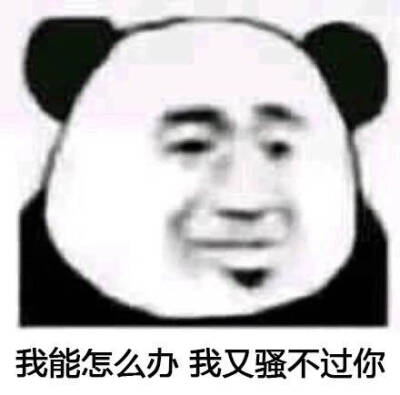 表情包