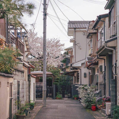 想和你一起走过的街道