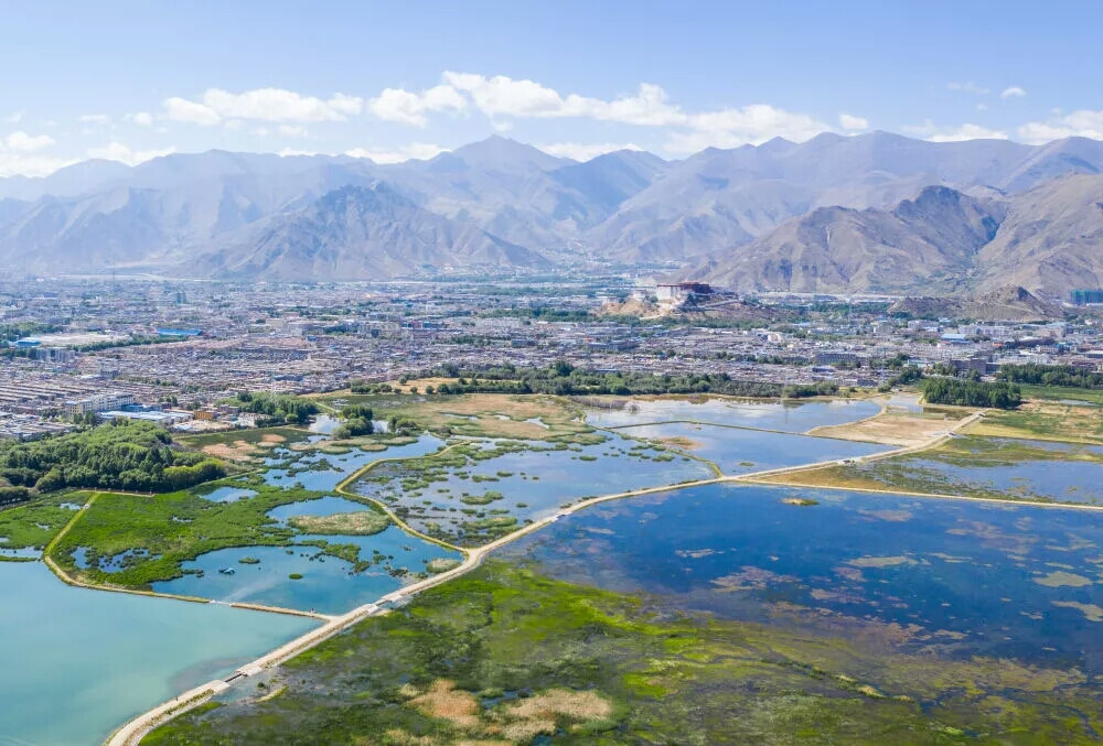 西藏拉鲁湿地