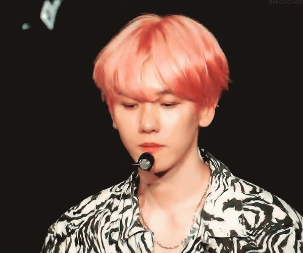 边伯贤赞评论更多所有评论你也来说些什么吧