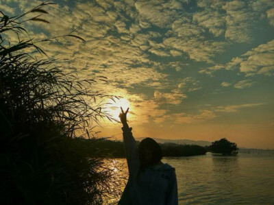 在所有想珍惜的关系里 问心无愧就好.