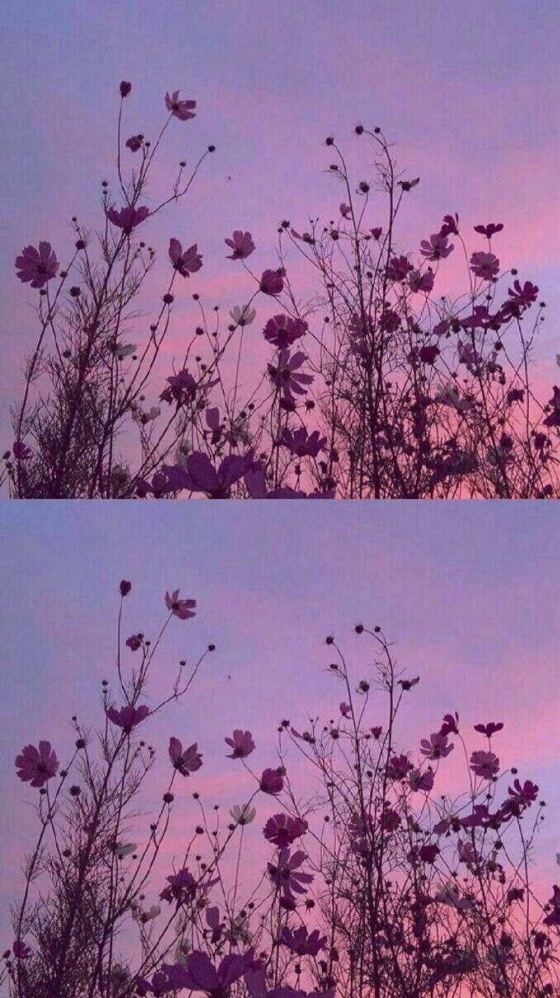 /_斯人若彩虹_/ No. 1
手机长屏壁纸✔