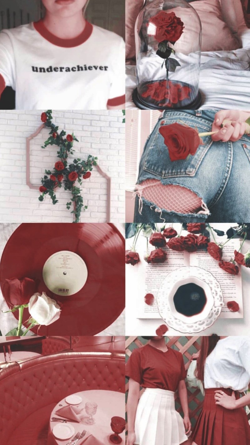 /_斯人若彩虹_/ No. 1
手机长屏壁纸✔