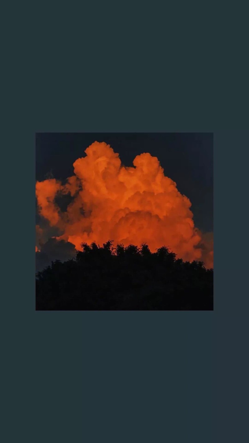 /_斯人若彩虹_/ No. 1
手机长屏壁纸✔