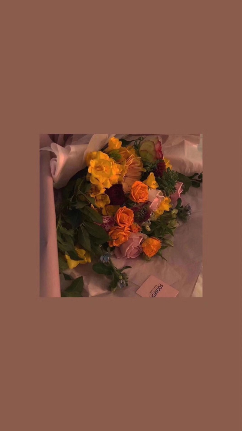 /_斯人若彩虹_/ No. 1
手机长屏壁纸✔