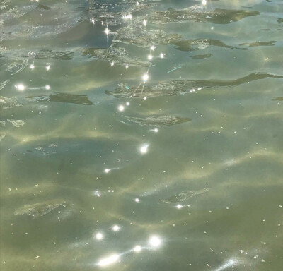 森系壁纸