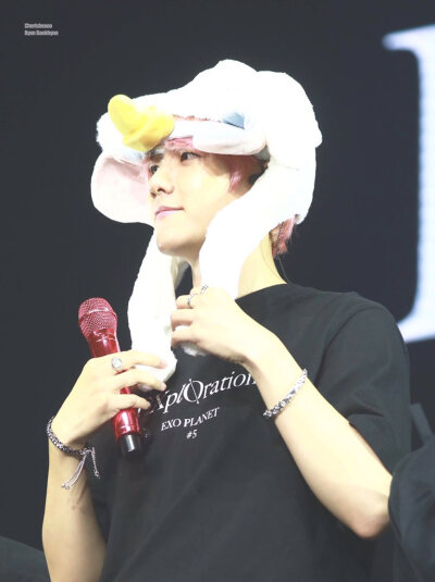 EXO五巡 边伯贤 壁纸