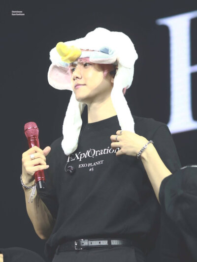 EXO五巡 边伯贤 壁纸