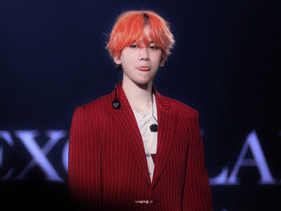 EXO五巡 边伯贤 壁纸