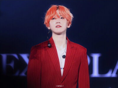 EXO五巡 边伯贤 壁纸