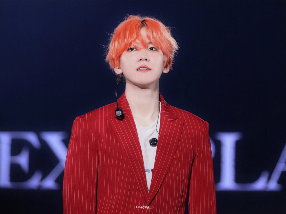 EXO五巡 边伯贤 壁纸