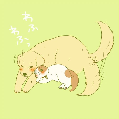 搬运自p站作者マイ侵删米英金毛米眉喵